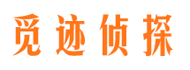 新疆市侦探调查公司